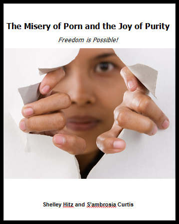 Misery of porn and the joy of purity ebook